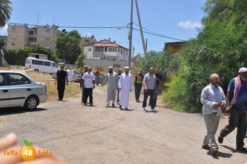 sol7desoqylud615 (53).JPG